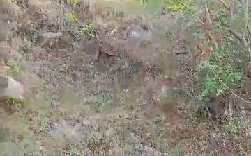 Plot For Sale in Jeolikote