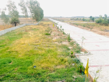 Plot Area in  Plot at Lalru – for Sale