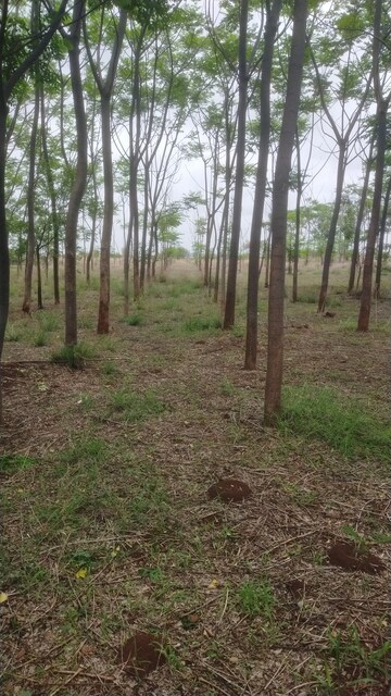  Plot For Sale in Khairatabad