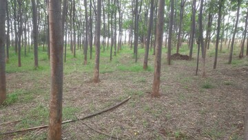  Plot – Garden View at Khairatabad - for Sale