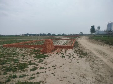  Plot For Sale in Sector 137