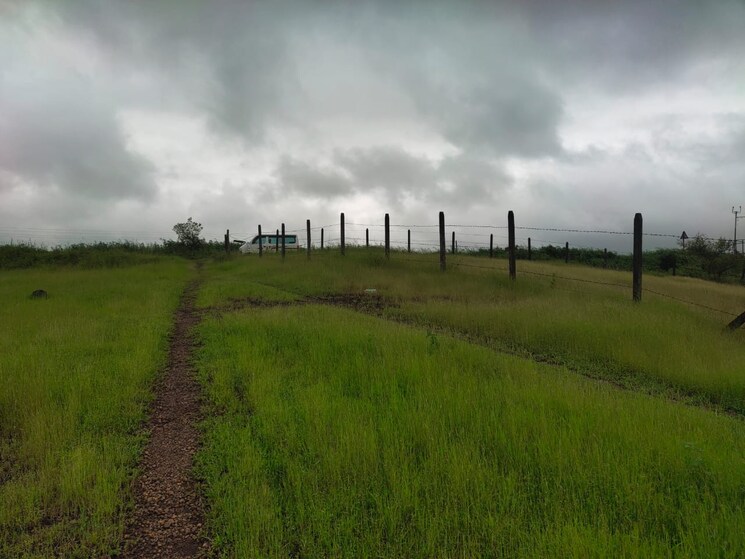 Garden, shahapur Commercial Land 70 Acre In Shahapur Thane 7246536