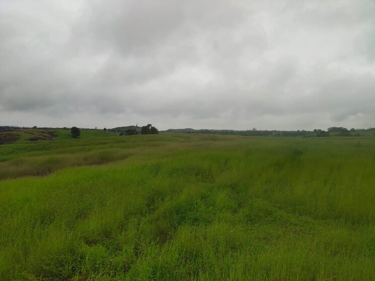 undefined, shahapur Commercial Land 70 Acre In Shahapur Thane 7246536