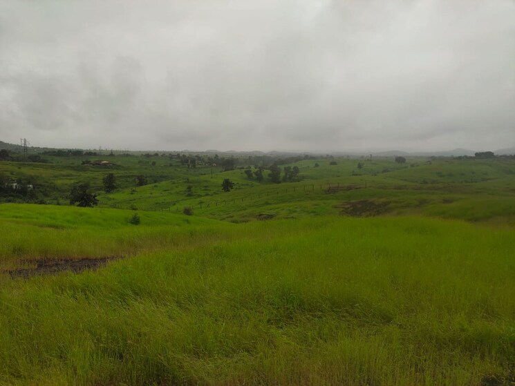 undefined, shahapur Commercial Land 70 Acre In Shahapur Thane 7246536