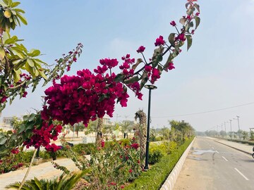  Plot – Garden View at Keshvam Homeland Pratham, Kalwara - for Sale