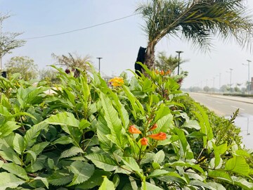  Plot – Garden View at Keshvam Homeland Pratham, Kalwara - for Sale