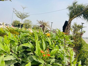  Plot – Garden View at Keshvam Homeland Pratham, Kalwara - for Sale