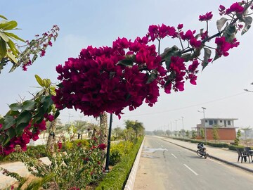  Plot – Garden View at Keshvam Homeland Pratham, Kalwara - for Sale