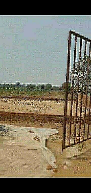 Plot Area in  Plot at AVS Orchard, Sector 77 – for Sale