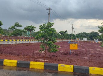 Plot For Resale in Budhera Hyderabad  7247084