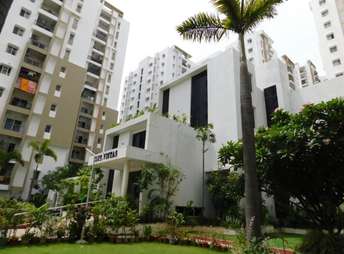 2 BHK Apartment For Resale in Rainbow Vistas Hi Tech City Hyderabad 7247325