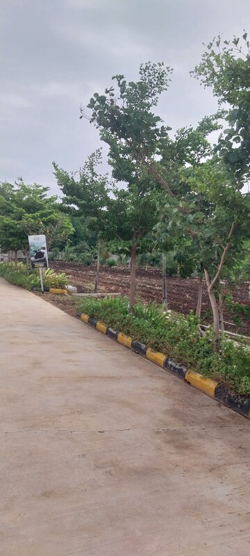  Plot – Exterior View View at Bhanur - for Sale