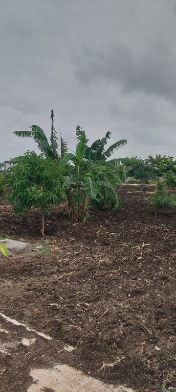  Plot – Garden View at Bhanur - for Sale