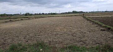 Plot Area in  Plot at Puraini – for Sale