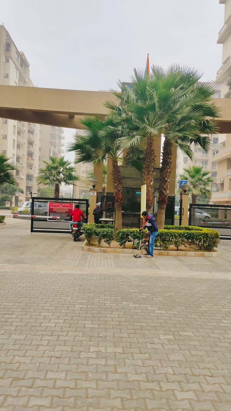 Exterior View, sushma-crescent 3 Bedroom 1860 Sq.Ft. Apartment In Dhakoli Zirakpur 7248244