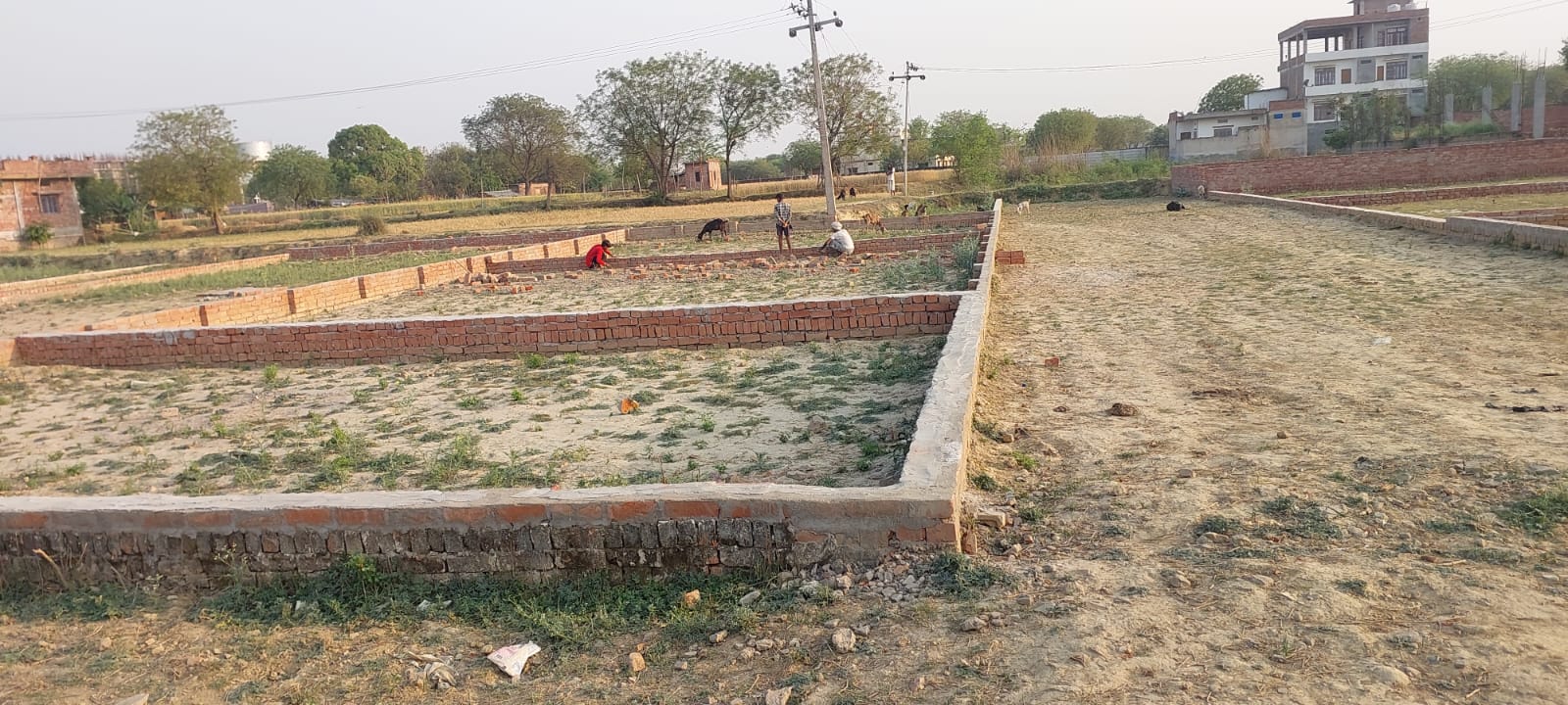 Resale 1040 Sq.Ft. Plot in Babatpur Varanasi 7248307
