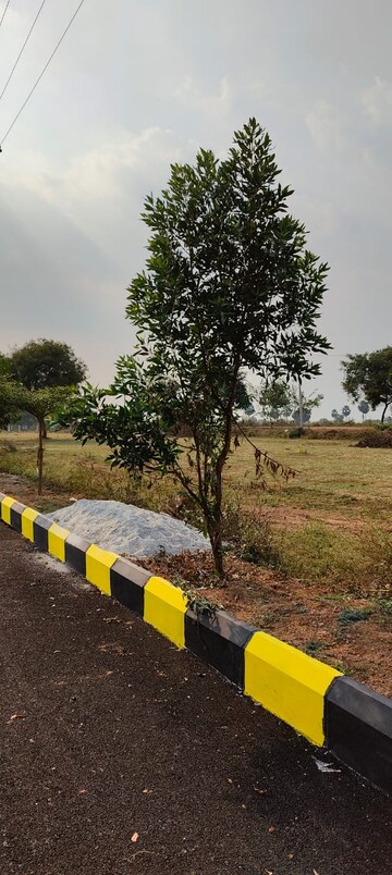 Plot Area in  Plot at Adibatla – for Sale