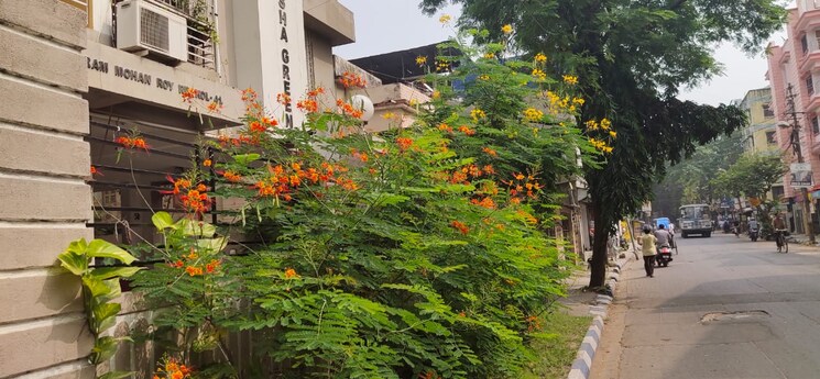 Exterior View, tollygunge 3 Bedroom 1400 Sq.Ft. Apartment In Tollygunge Kolkata 7248754