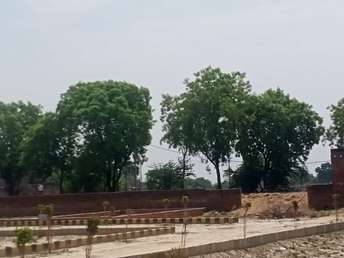 Commercial Land 800 Sq.Ft. For Resale in Udaiganj Lucknow  7249561