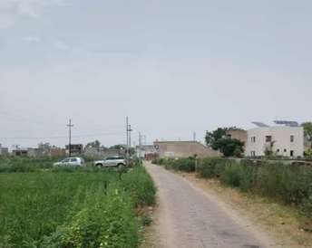 Plot For Resale in Dankaur Greater Noida  7249640