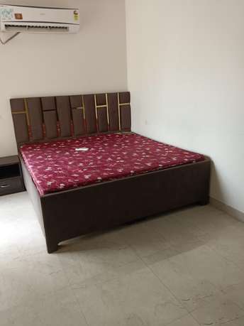 2 BHK Builder Floor For Rent in Sector 56 Gurgaon  7250095