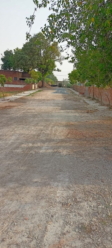 Plot Area in  Plot at Babatpur – for Sale