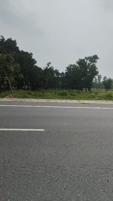 Plot Area in  Plot at Siyana Road – for Sale