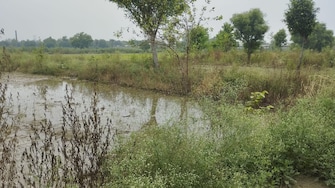 Commercial Land 41 Acre For Resale in Alinagar Aligarh  7251584