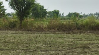 Commercial Land 41 Acre For Resale in Alinagar Aligarh  7251584