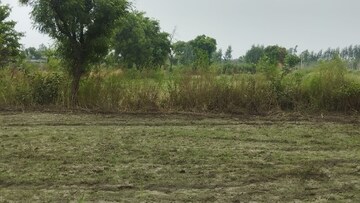 Plot Area in  Land at Alinagar – for Sale