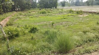 Commercial Land 41 Acre For Resale in Alinagar Aligarh  7251584