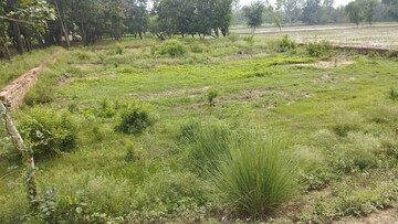  Land – Garden View at Alinagar - for Sale