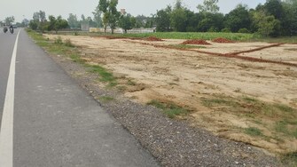 Commercial Land 41 Acre For Resale in Alinagar Aligarh  7251584