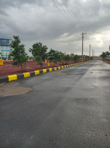 Plot For Resale in Budhera Hyderabad  7252048