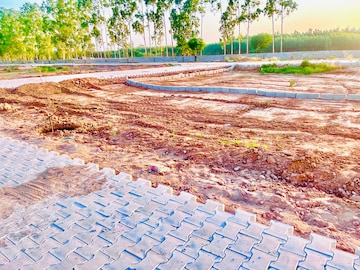 Plot Area in  Plot at Lalru – for Sale
