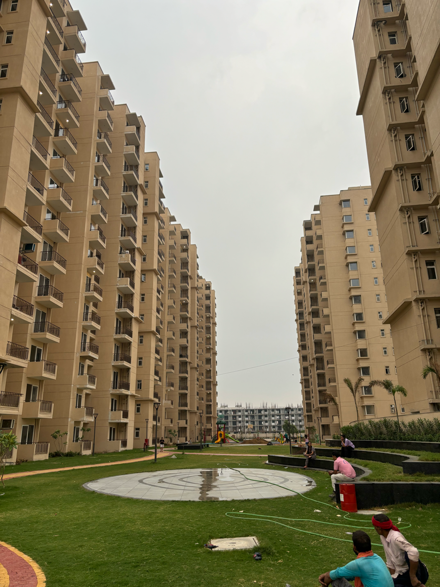 2 BHK Apartment For Rent in Signature Orchard Avenue 2 Hayatpur Gurgaon  7252315