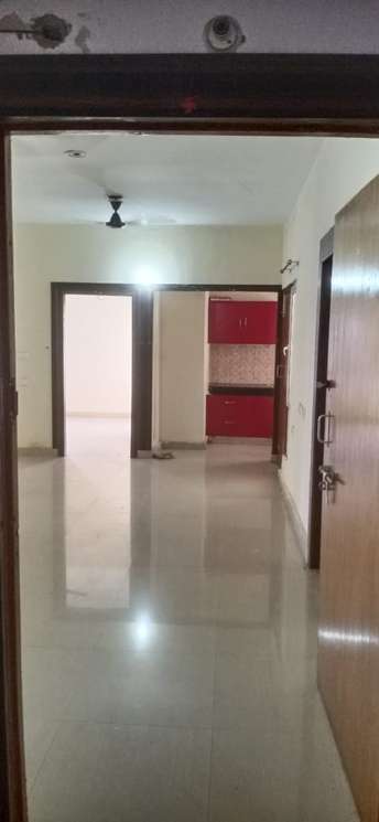 2.5 BHK Apartment For Rent in Gomti Nagar Lucknow  7252567