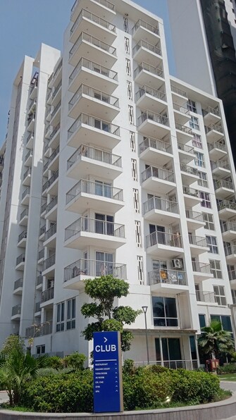 4 BHK Apartment For Resale in Krrish Provence Estate Gurgaon Faridabad Road Gurgaon  7252687