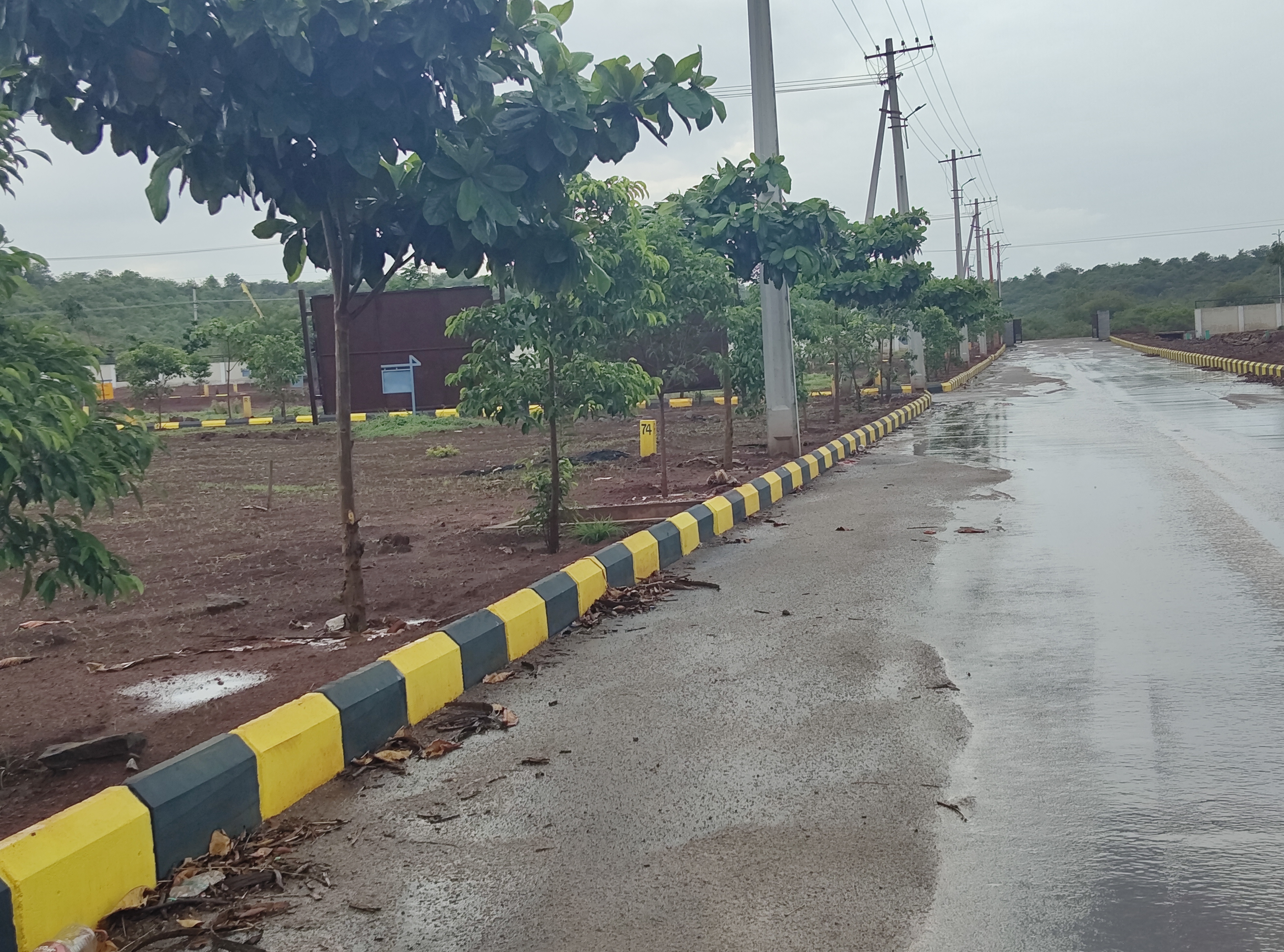 Plot For Resale in Budhera Hyderabad  7252777