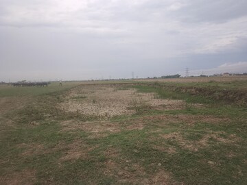  Plot For Sale in Maniram