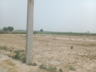 Plot For Resale in Jharoda Kalan Delhi  7253559