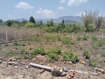 Plot Area in  Plot at Dhaulas  – for Sale