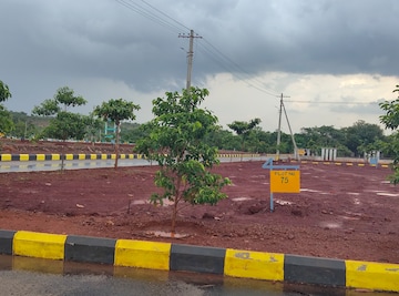 Plot For Resale in Budhera Hyderabad  7253893