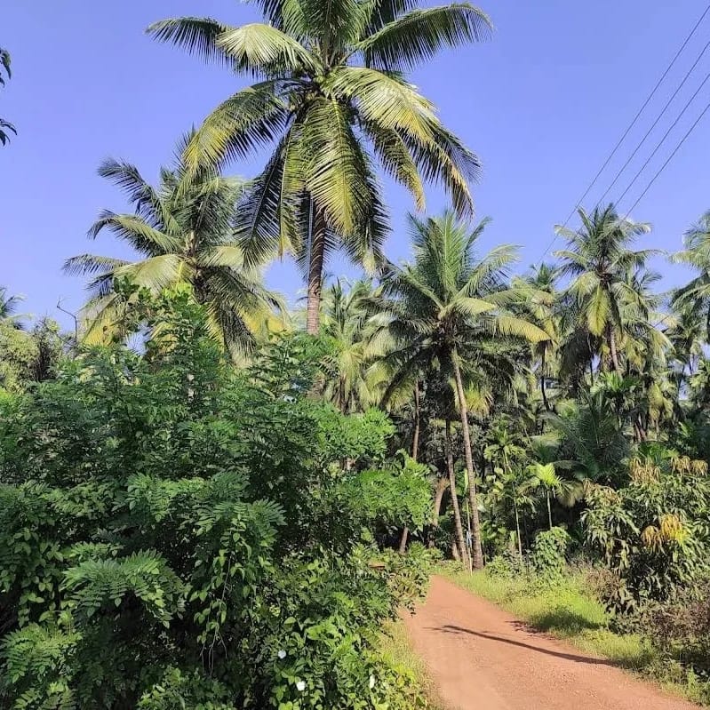 रेसिडेंशियल प्लॉट वर्ग फुट फॉर रीसेल इन मुंबई-गोवा हाइवे रत्नागिरी  7253667