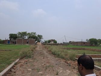 Plot For Resale in Baraipur Mirzapur  7253953