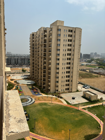 2 BHK Apartment For Rent in Signature Orchard Avenue 2 Hayatpur Gurgaon  7254857