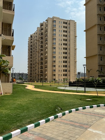 2 BHK Apartment For Rent in Signature Orchard Avenue 2 Hayatpur Gurgaon  7254877