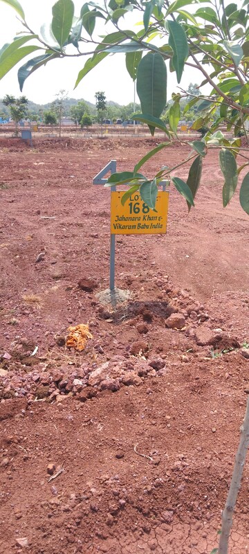  Plot For Sale in Budhera