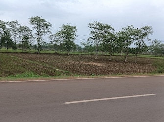 Commercial Land 6 Acre For Resale in Dhamtari Road Raipur  7255294