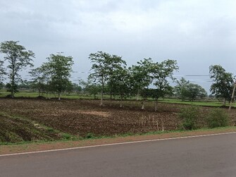 Commercial Land 6 Acre For Resale in Dhamtari Road Raipur  7255294